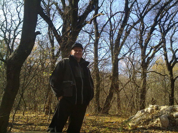 Сергей Шибарев