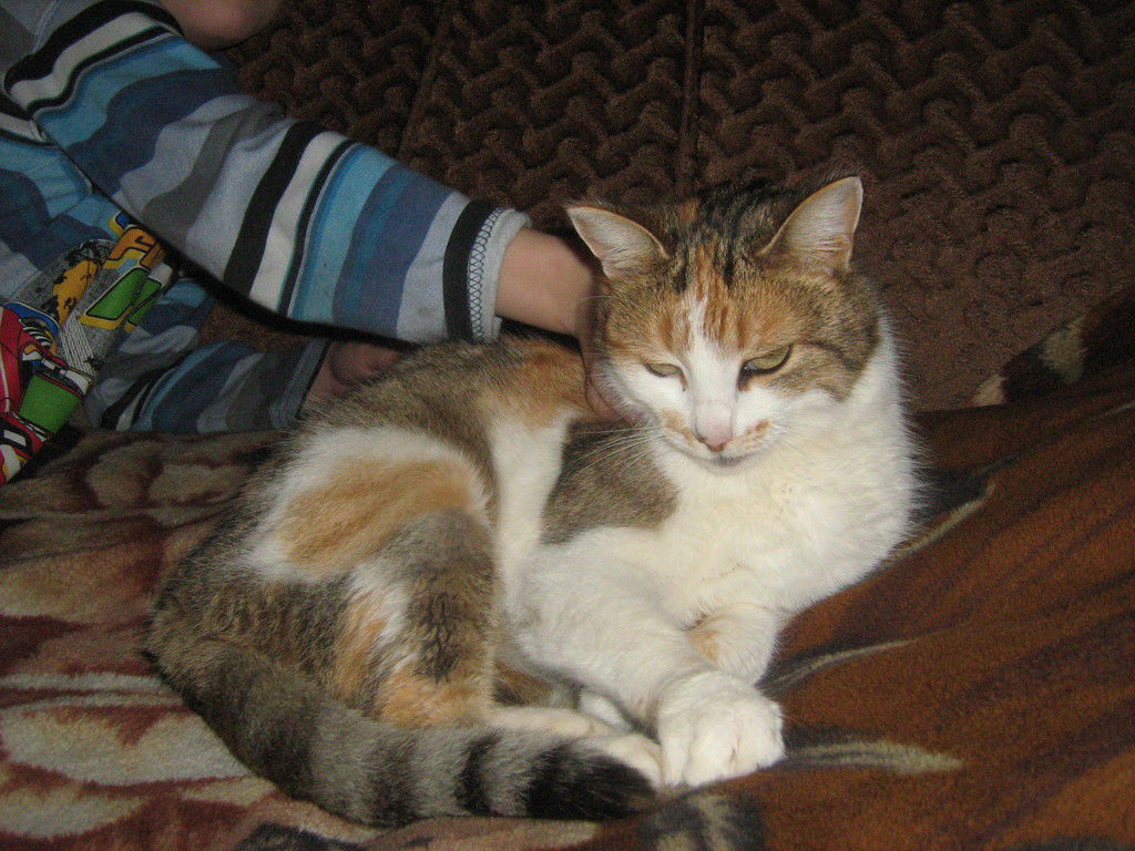 Валера Никитин