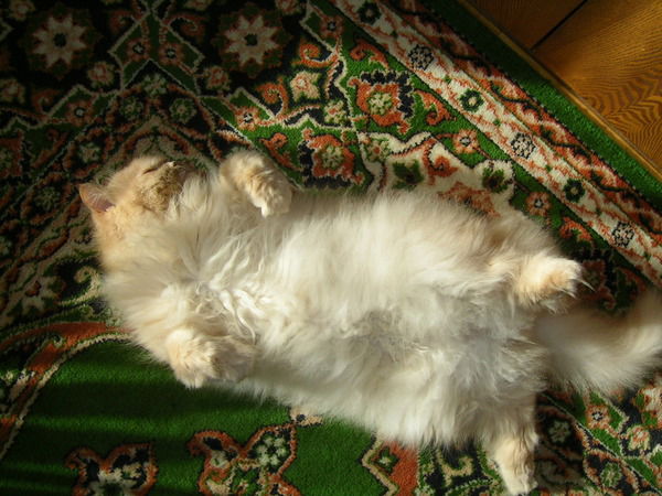 Роман Харин