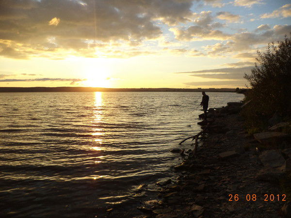 Александр Гашков