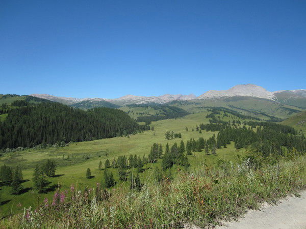 Азамат Ибраев