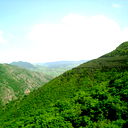 Ml77 Ml77