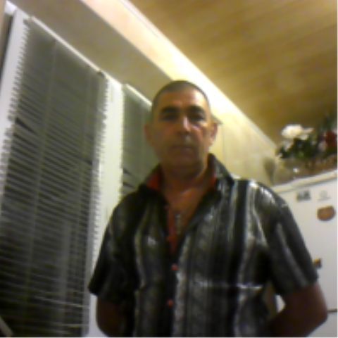 Николай Долиба