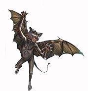 Полина Седачева