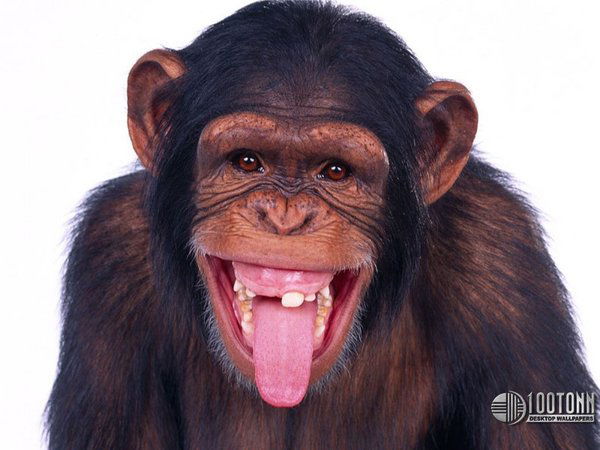 Василий Теркин