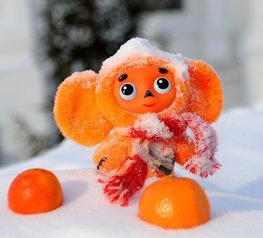 Галина Шихова