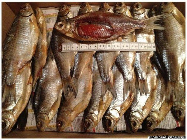 Вяленая Вобла