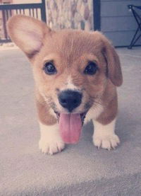 Сережа Щербаков