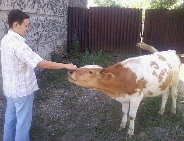 Павел Блинов