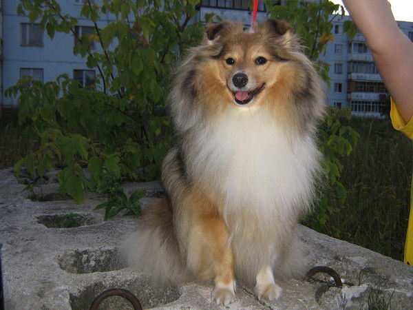 Татьяна Веденьева