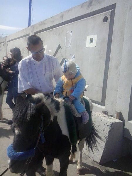 Анатолий Пустовойт