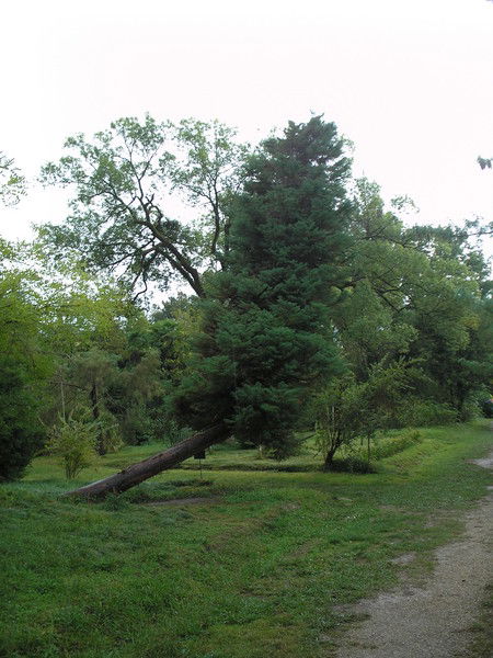 Ольга Николаева