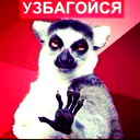 Лилия Тефикова