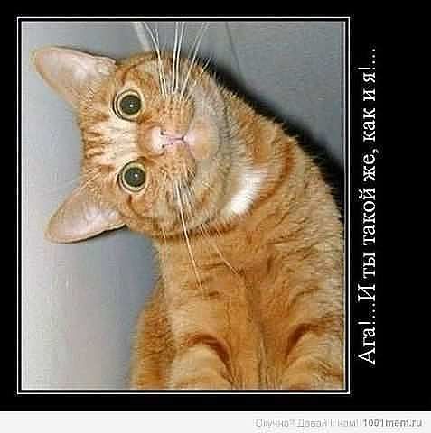 Виктория Киселева