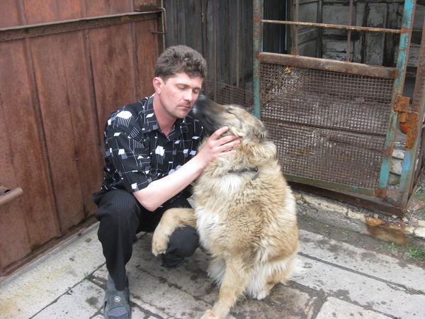 Андрей Халепин