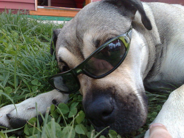 Марианна Панина