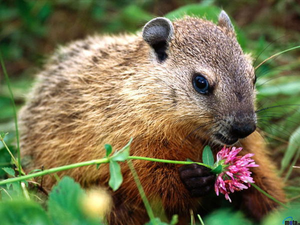 Дарья Пономарёва