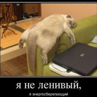 Сергей Жерж