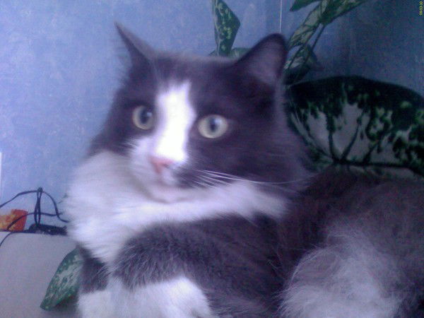 Александр Задорин