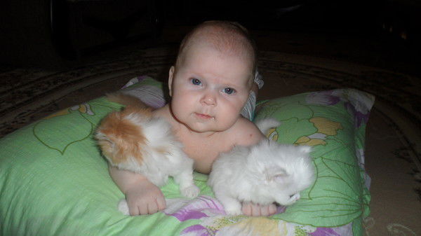 Евгения Бабич