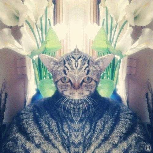 Игорь Фёдоров