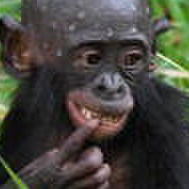 Юрий Борзых