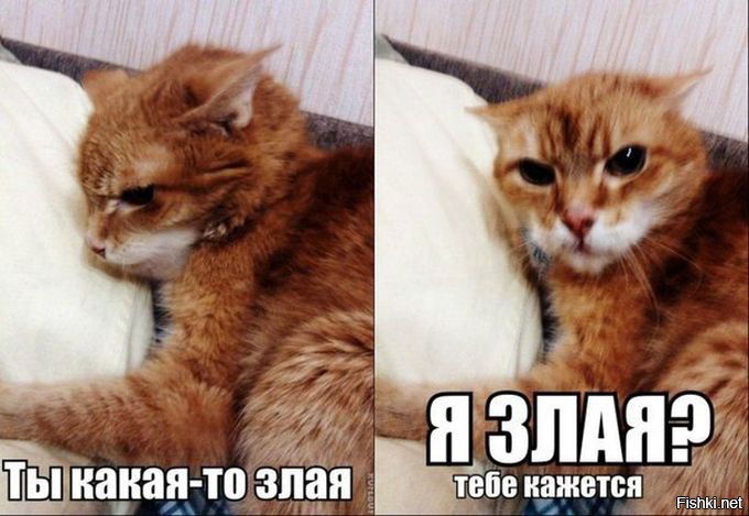 Агуша Кукуша