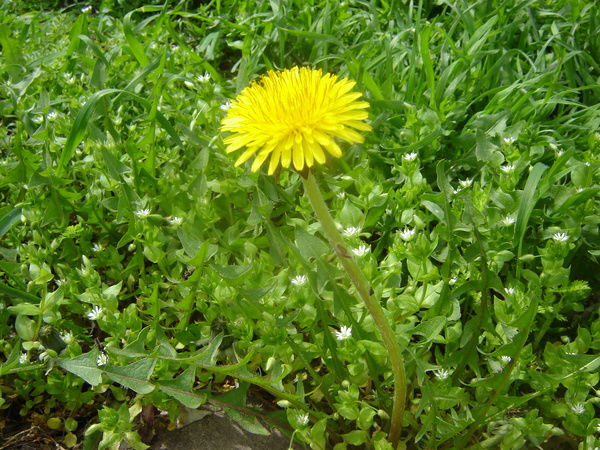 Анастасия Колчанова