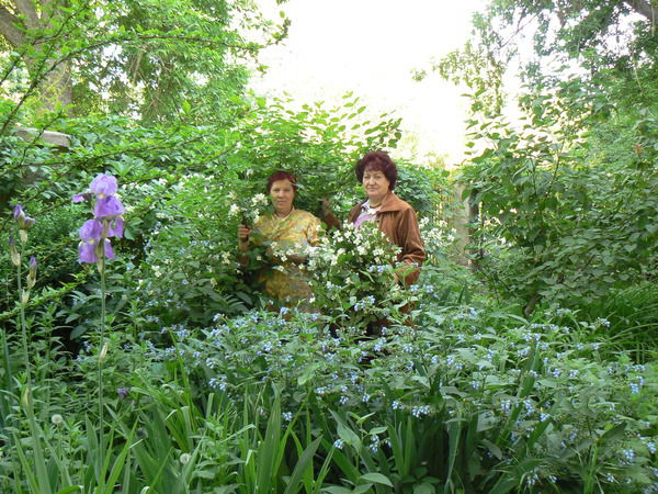 Тамара Цыганкова