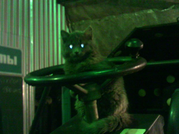 Сергей Беляков