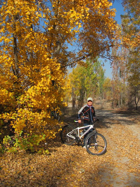 Виталий Колесников