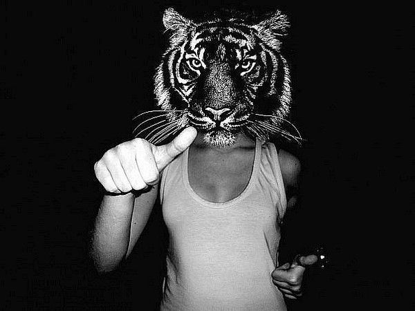 Идитенахер.