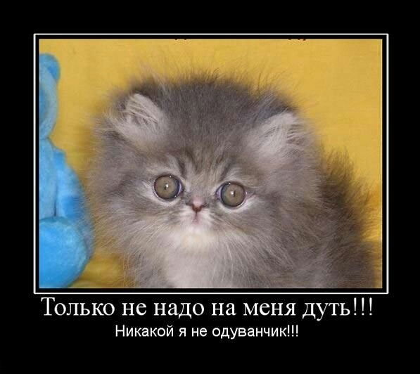 Александр Михайлычев