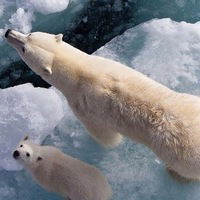 Наталья Гармашова