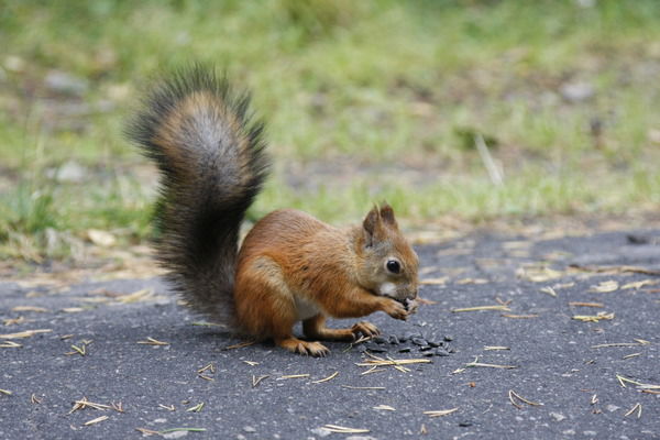 Ольга Тюлюбаева