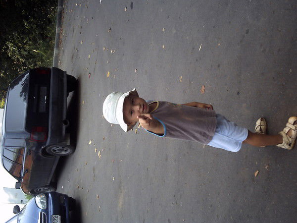 Дрон Дроныч