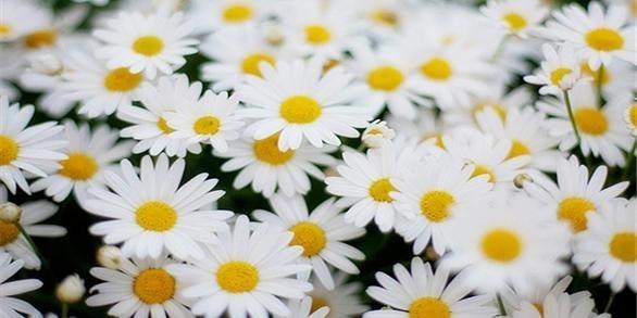 Анна Столярова