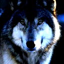 Сергей Сабадашев