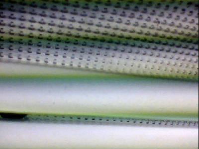 Вадим Сандул