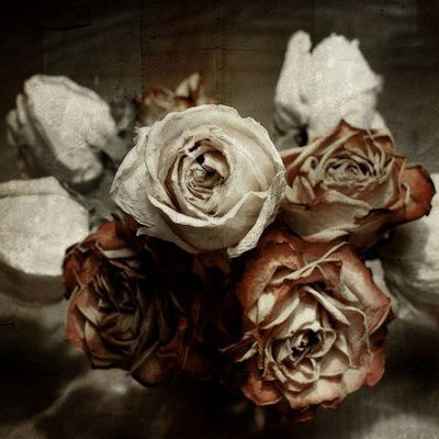 Увядший Цветок