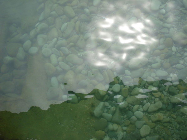 Ольга Осуховская