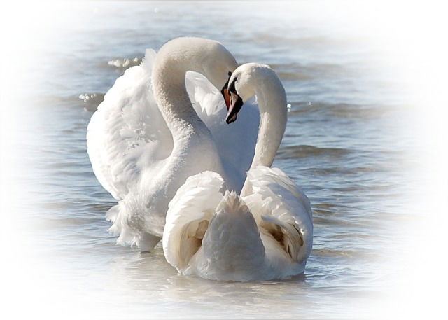 Амазонка Полинезии