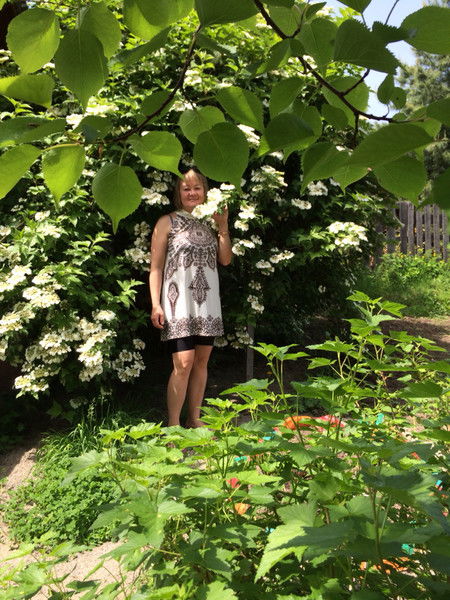 Светлана Николаева