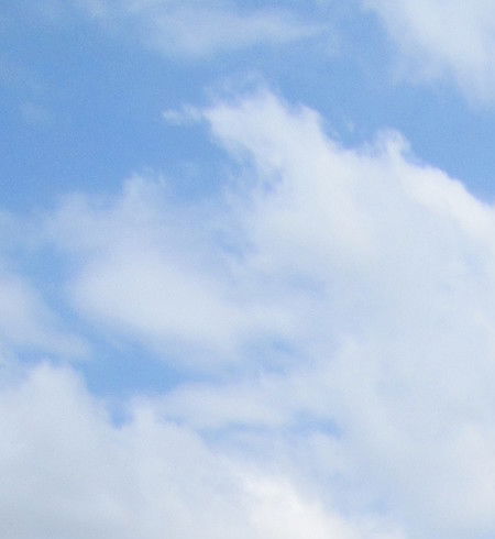 Владимир Шинкоренко