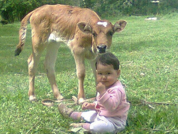 Марат Аманбаев