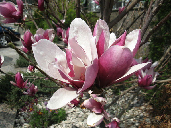 Оксана Гилёва