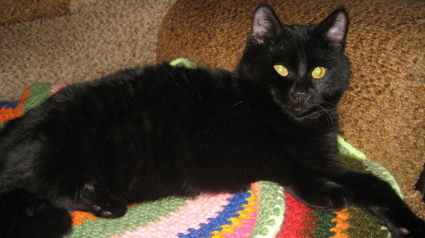 Наиля Юсупова (Хабибжанова)