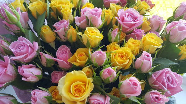 Томирис Кальянбекова