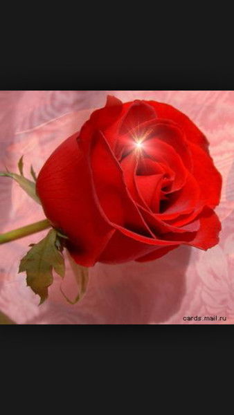 Корлан Нугертаева