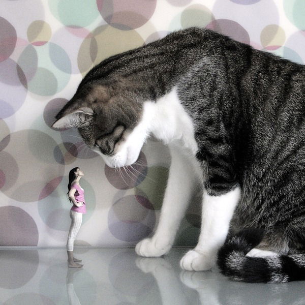 Ольга Ананьева